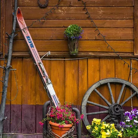 Homestay Dom Wypoczynkowy I Apartamenty 