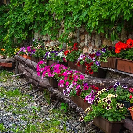 Homestay Dom Wypoczynkowy I Apartamenty 